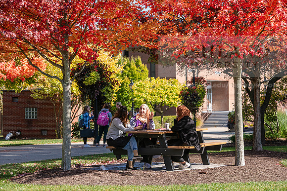 FallCampusLife1024AWB_5851