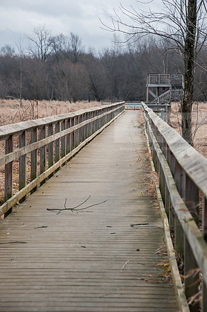 Black Fork Wetlands
