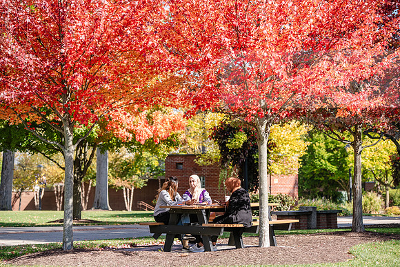 FallCampusLife1024AWB_5950