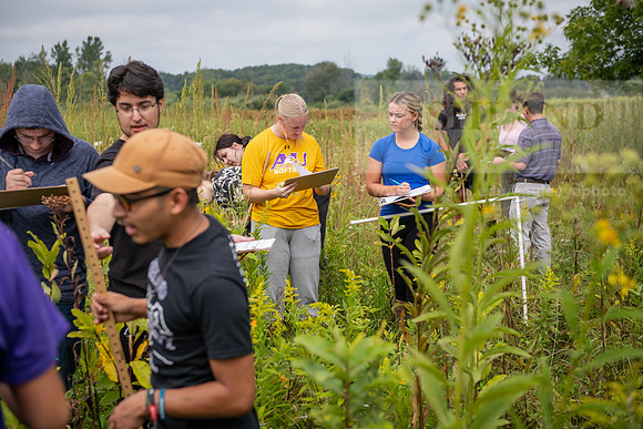 Biology_Saunders_BlackFork_Milkweed0923AWB_3611