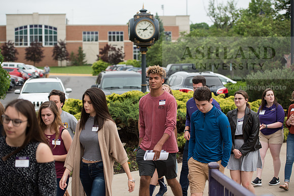 Orientation Number 2