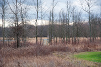 Black Fork Wetlands
