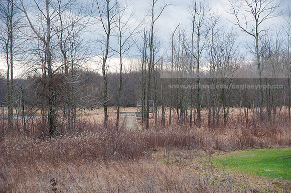 Black Fork Wetlands