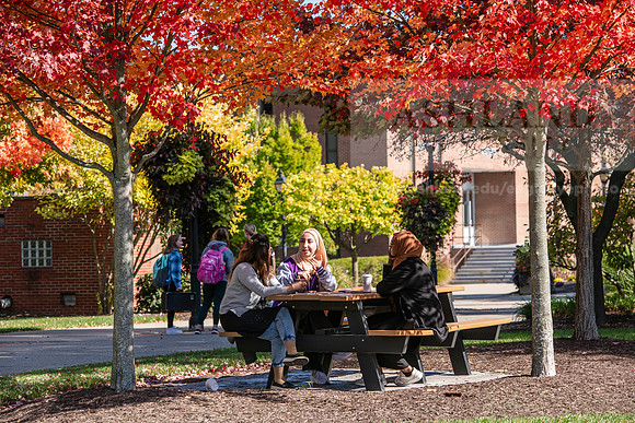 FallCampusLife1024AWB_5853