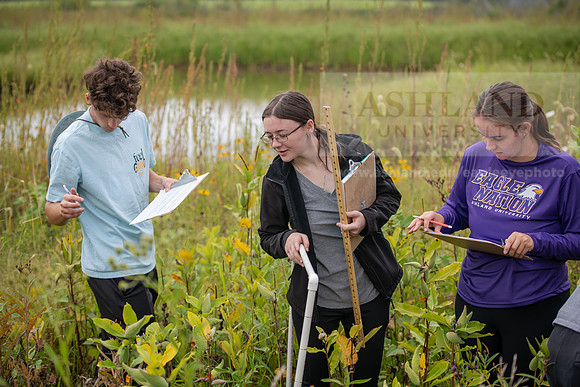 Biology_Saunders_BlackFork_Milkweed0923AWB_3593