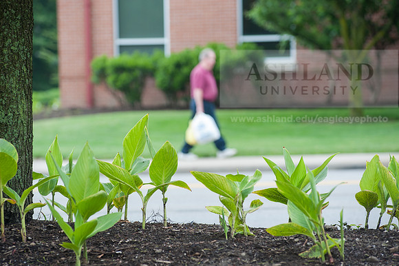 Outdoor Campus