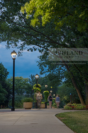 Avenue of the Eagles