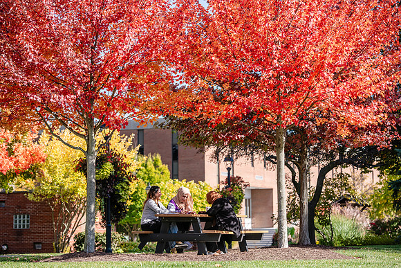 FallCampusLife1024AWB_5924