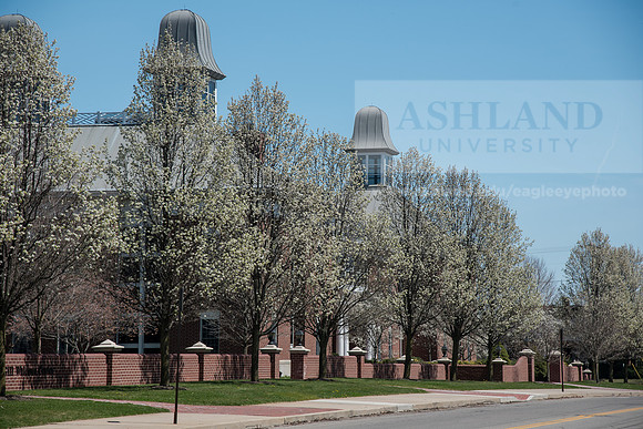 Spring Campus