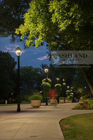 Avenue of the Eagles