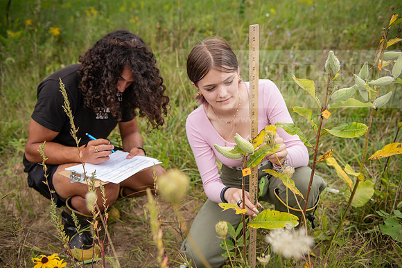 Biology_Saunders_BlackFork_Milkweed0923AWB_3722
