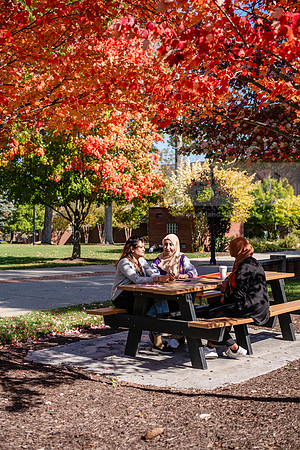 FallCampusLife1024AWB_5963