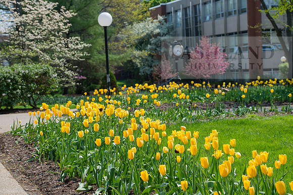 SpringCampus0515ALW_3450