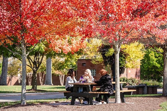FallCampusLife1024AWB_5944