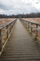 Black Fork Wetlands