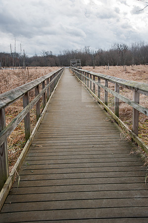 Black Fork Wetlands