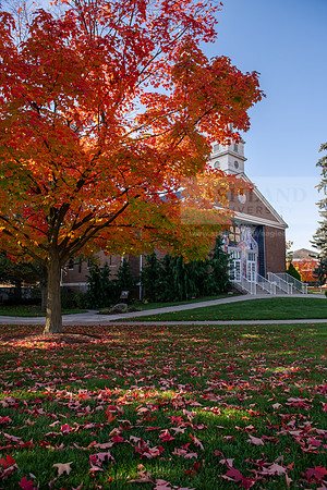 FallCampusLife1024AWB_5045