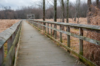 Black Fork Wetlands