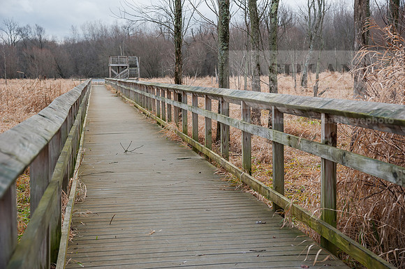 Black Fork Wetlands