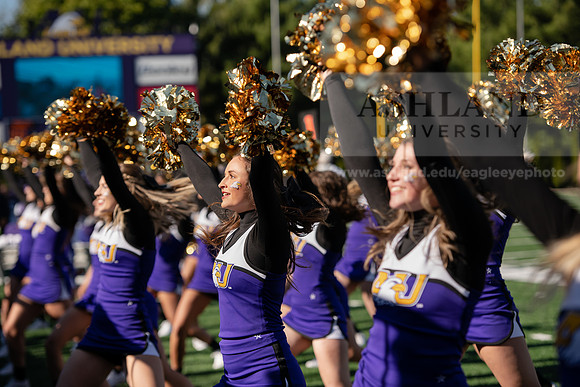AUvDavenportFootball1019ALW_7447