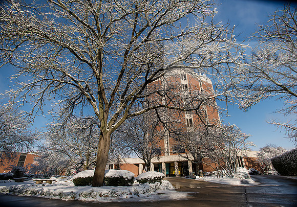 CampusSnow1119ALW_9959