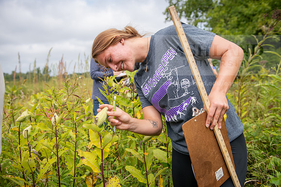 Biology_Saunders_BlackFork_Milkweed0923AWB_3624
