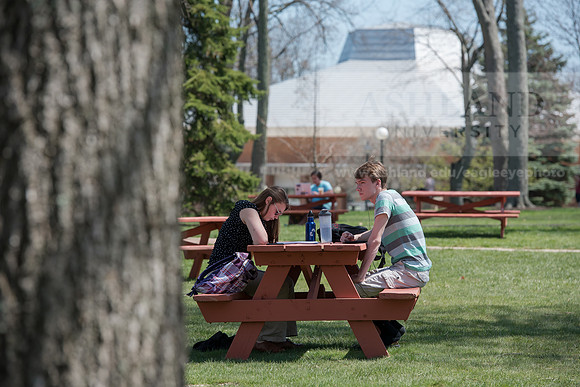 Spring Campus
