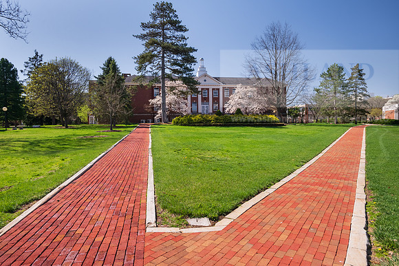 SpringCampus0421ALW_5775