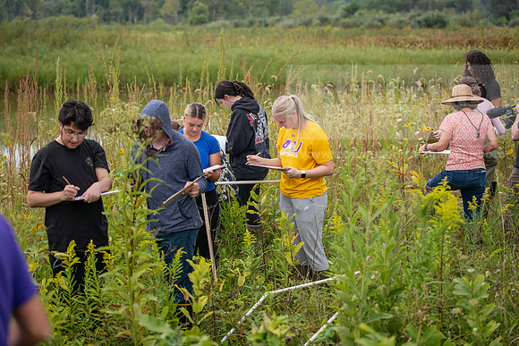 Biology_Saunders_BlackFork_Milkweed0923AWB_3589
