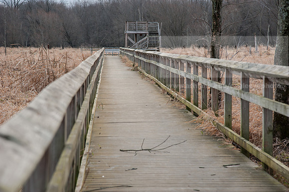 Black Fork Wetlands