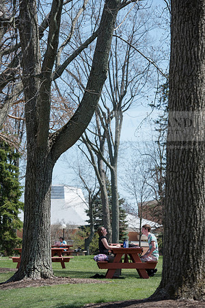 Spring Campus