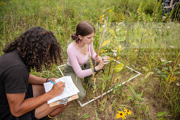 Biology_Saunders_BlackFork_Milkweed0923AWB_3715