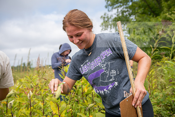 Biology_Saunders_BlackFork_Milkweed0923AWB_3635