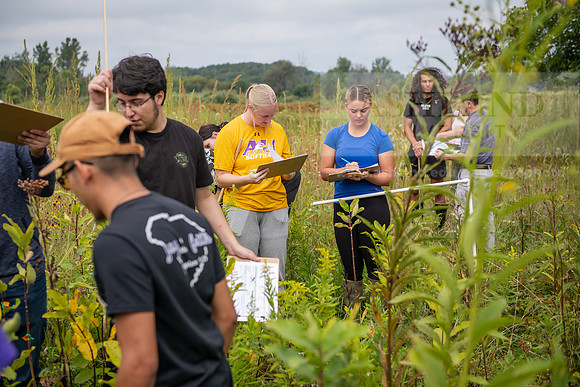 Biology_Saunders_BlackFork_Milkweed0923AWB_3613