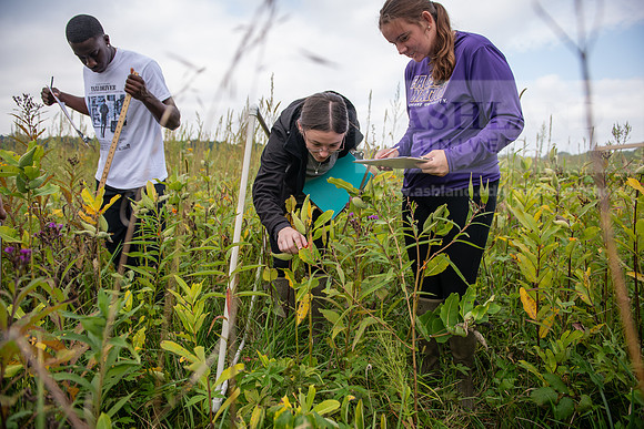 Biology_Saunders_BlackFork_Milkweed0923AWB_3544