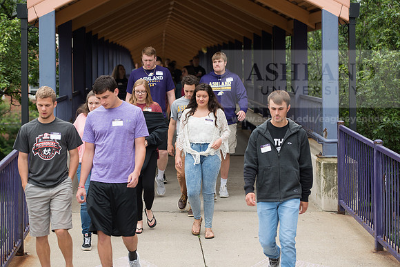 Orientation Number 2