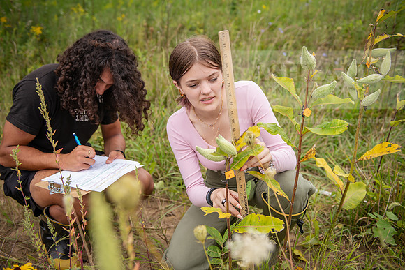 Biology_Saunders_BlackFork_Milkweed0923AWB_3721