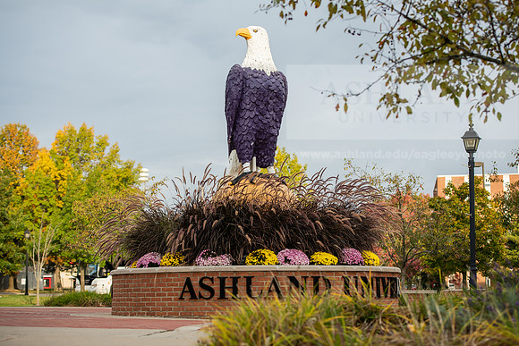 FallCampusLife1023AWB_1459