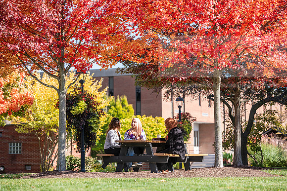 FallCampusLife1024AWB_5918