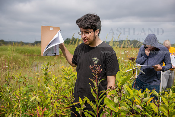 Biology_Saunders_BlackFork_Milkweed0923AWB_3666