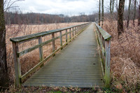 Black Fork Wetlands