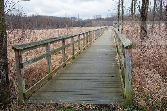 Black Fork Wetlands