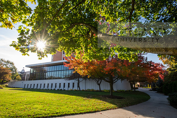 FallCampusLife1024AWB_5179
