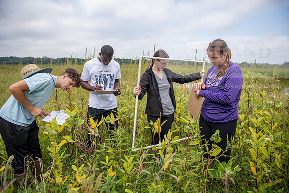 Biology_Saunders_BlackFork_Milkweed0923AWB_3507