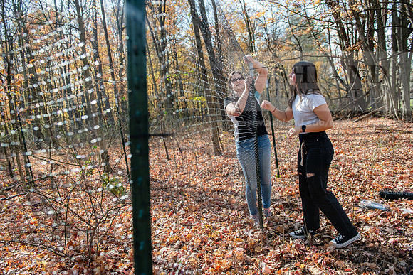 DeerExclosureBIOProject1024AWB_7447