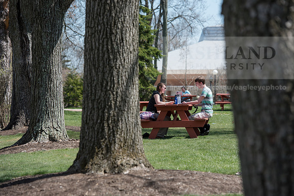 Spring Campus