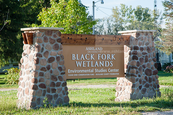Black Fork Wetlands