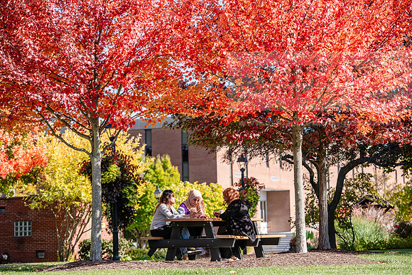 FallCampusLife1024AWB_5923