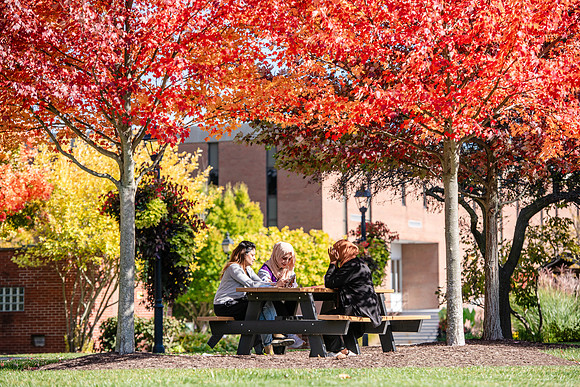 FallCampusLife1024AWB_5928
