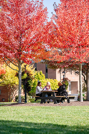 FallCampusLife1024AWB_5934